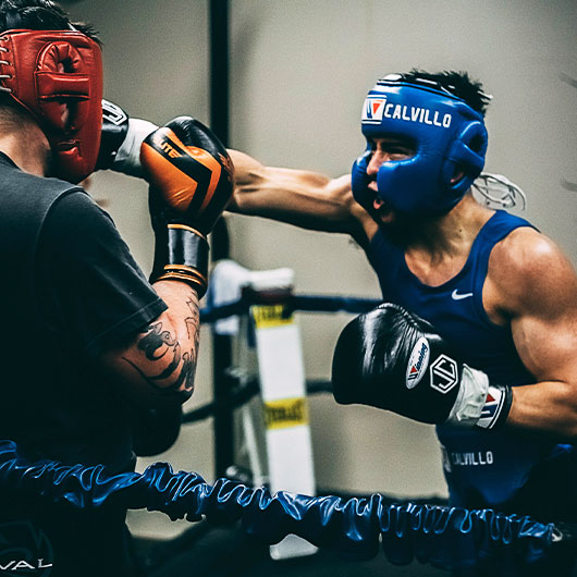BOXE